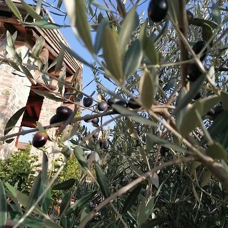 Agriturismo Borgo Stella-2